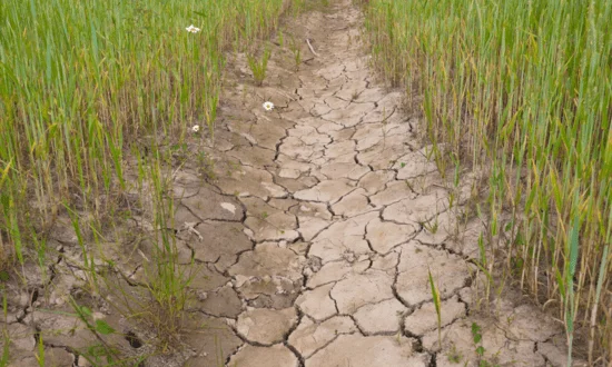Water Freedom System